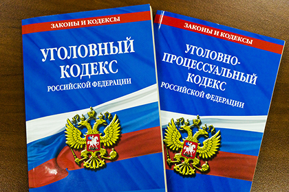 Правительство указало на необходимость доработать законопроект ВС об уголовном проступке