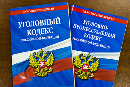 Правительство указало на необходимость доработать законопроект ВС об уголовном проступке