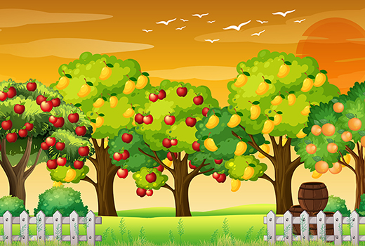 Можно ли зарегистрировать право собственности на яблоневые сады?