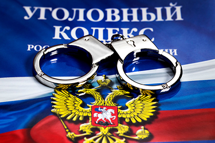 Установлен и задержан напавший на адвоката Елену Пономареву