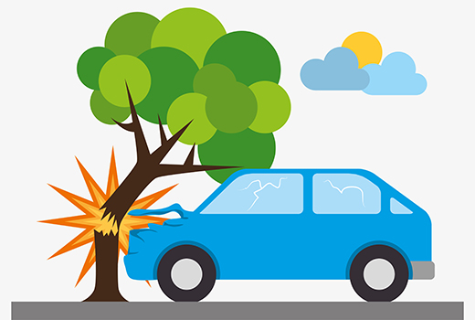 Шторм повалил дерево на машину: как получить компенсацию?