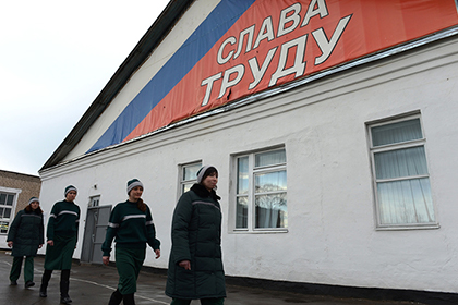 Осужденным к принудительным работам хотят позволить трудиться не только в организациях, но и у ИП